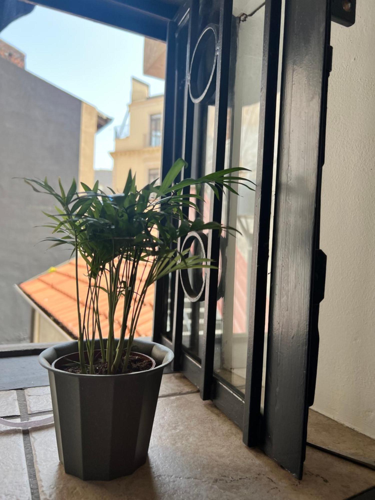 Barcaioli'S Home カターニア エクステリア 写真